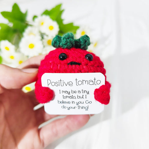 Handmade Emotional Support Tomato Var Cucumber Gift, Funny Birthday Gifts Knitted Cucumber with Positive Card Funny Decor Positive Potato Crochet for Encouragement Gifts for Friends Crochet Pickle Xmas Oranment for Office Table